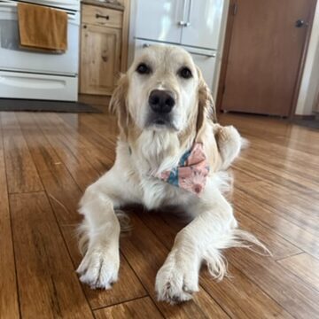 B77165B9-8DE1-4314-902A-F65DBEBFF6D8_4_5005_c (1)